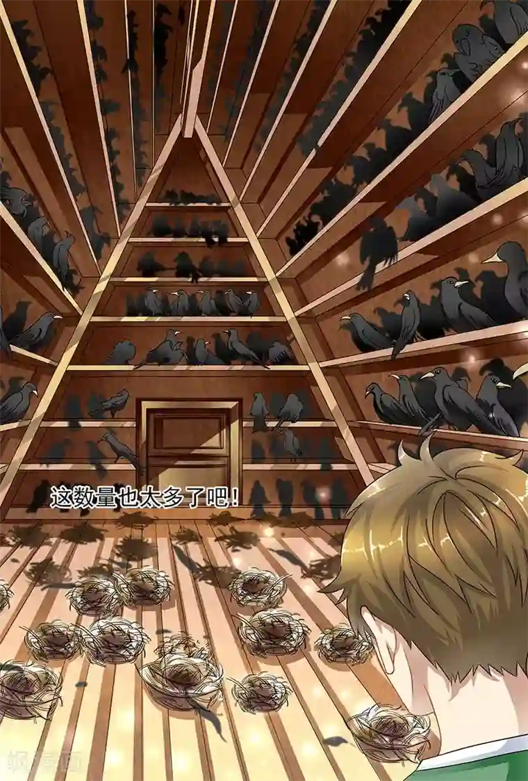 hi，我的名字叫镰第14话 乌鸦的故事