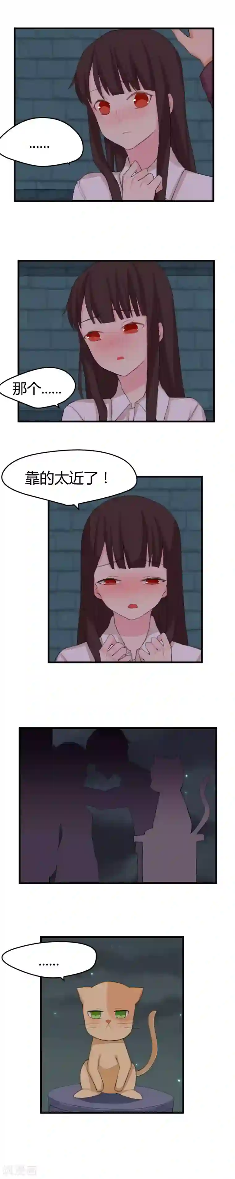 王子是保姆第13话 这猫真不解风情