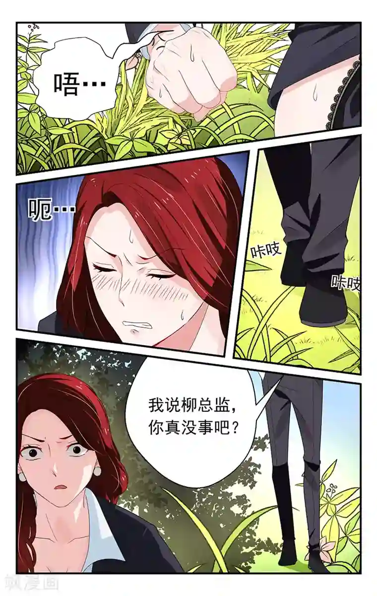 我的绝色总裁未婚妻第28话