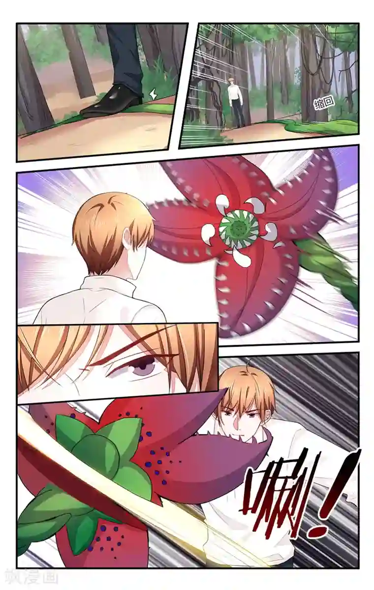 我的绝色总裁未婚妻第205话