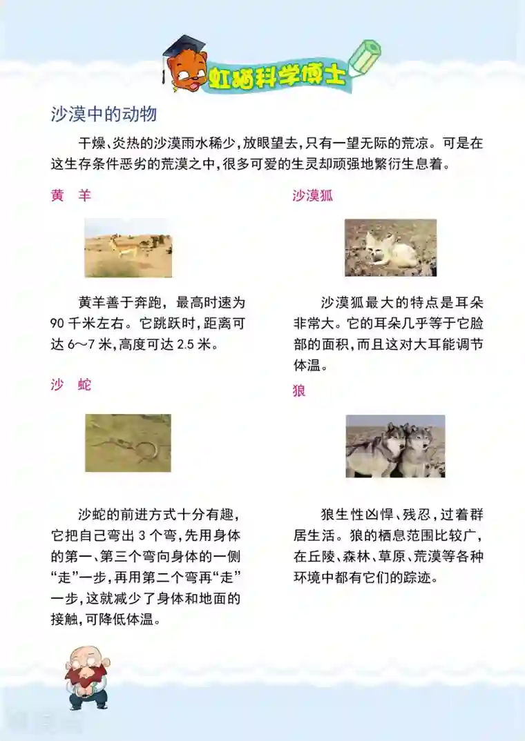 虹猫蓝兔漫画科学探险之罗布泊历险记第4话 惊险一夜