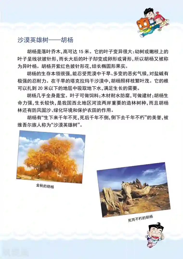 虹猫蓝兔漫画科学探险之罗布泊历险记第4话 惊险一夜