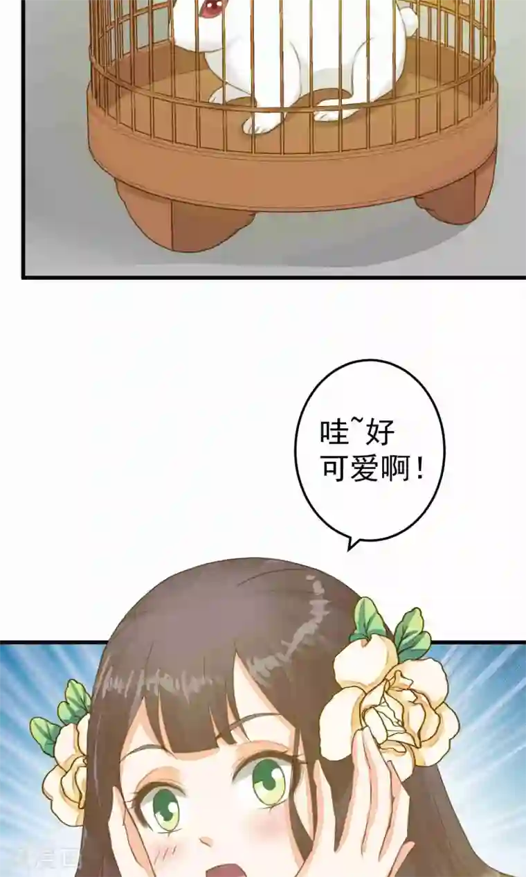 这个贵妃有点飘第47话 好姐妹？