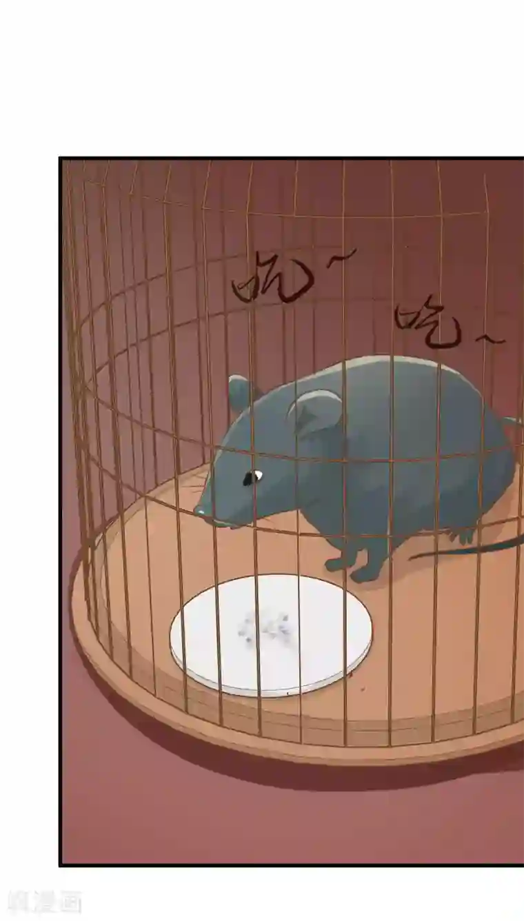 这个贵妃有点飘第52话 惊梦