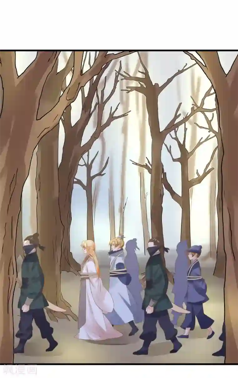 这个贵妃有点飘第103话 强势出镜的土匪