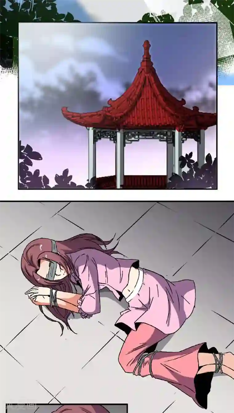 将军有喜第63话 真面具