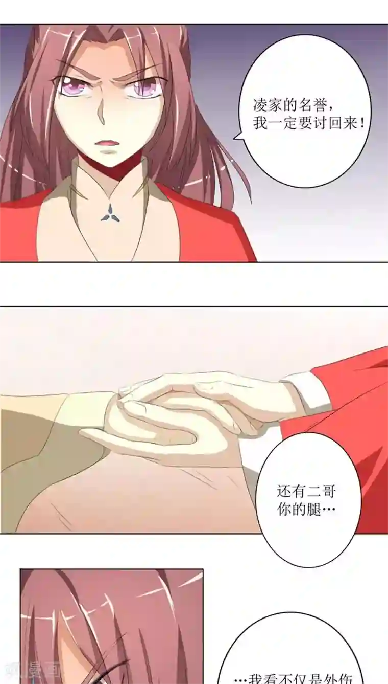 将军有喜第74话 凌家历史