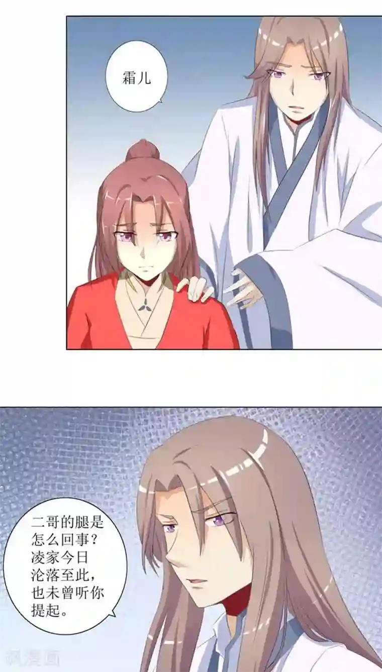 将军有喜第74话 凌家历史