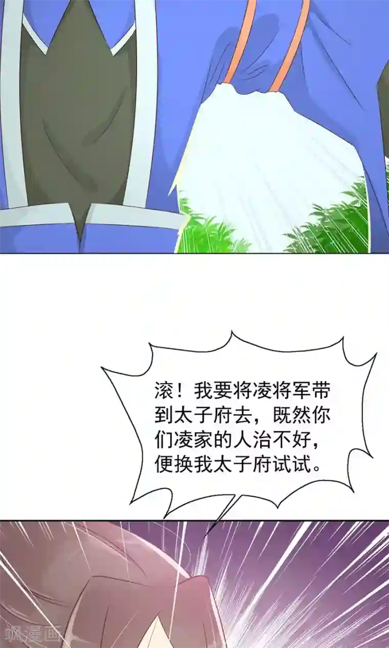 将军有喜第91话 太子vs方玉