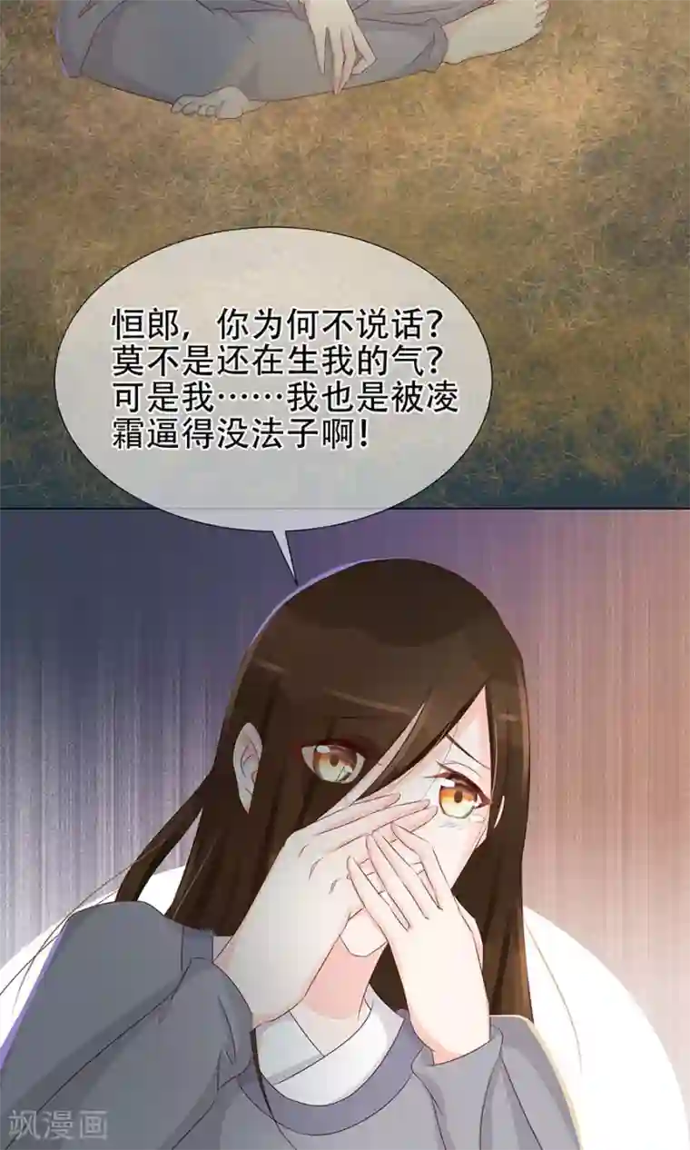 将军有喜第95话 赫连将军的计策