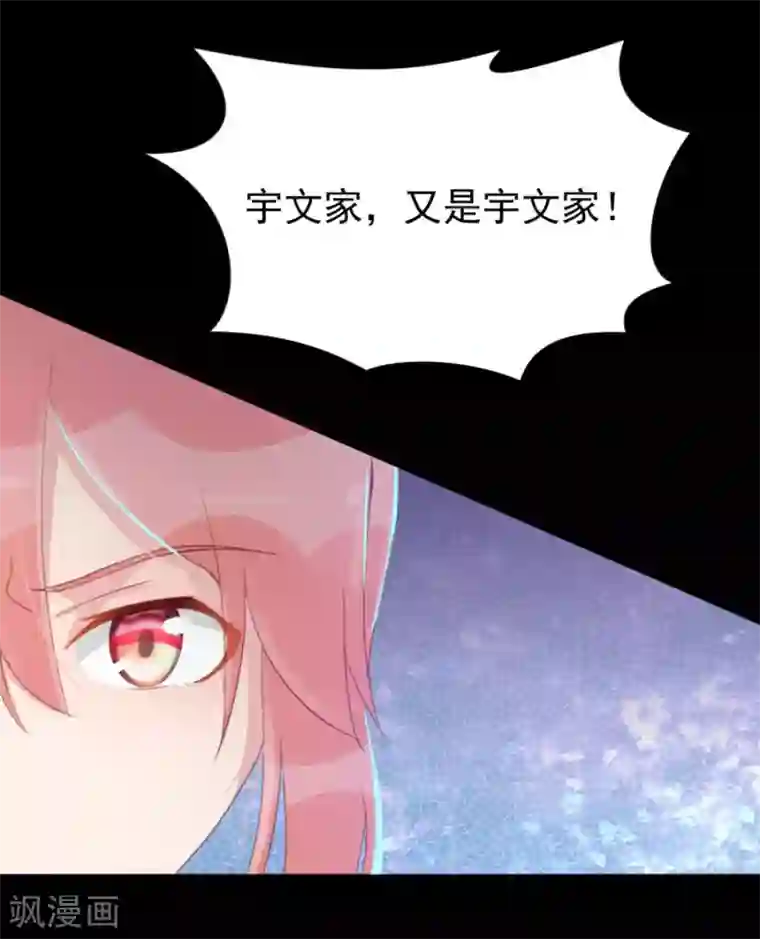 将军有喜第113话 又是宇文家！