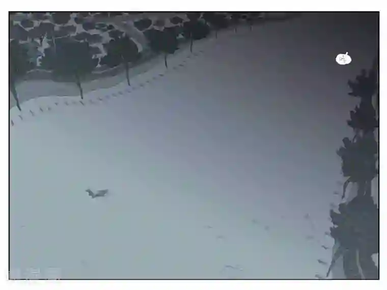 开元符澈记第32话 好主意