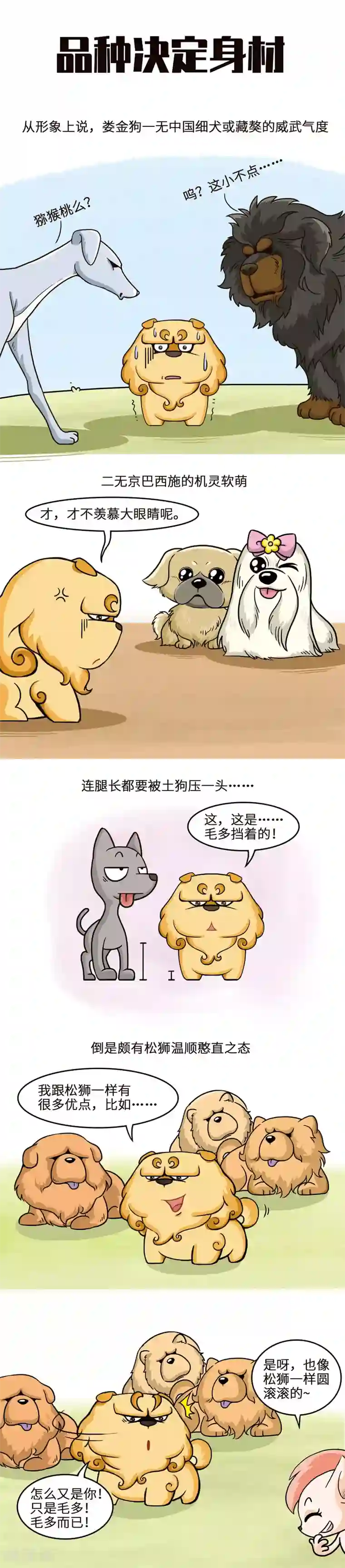 星宿谭第26话 快看，有只圆滚滚的毛球