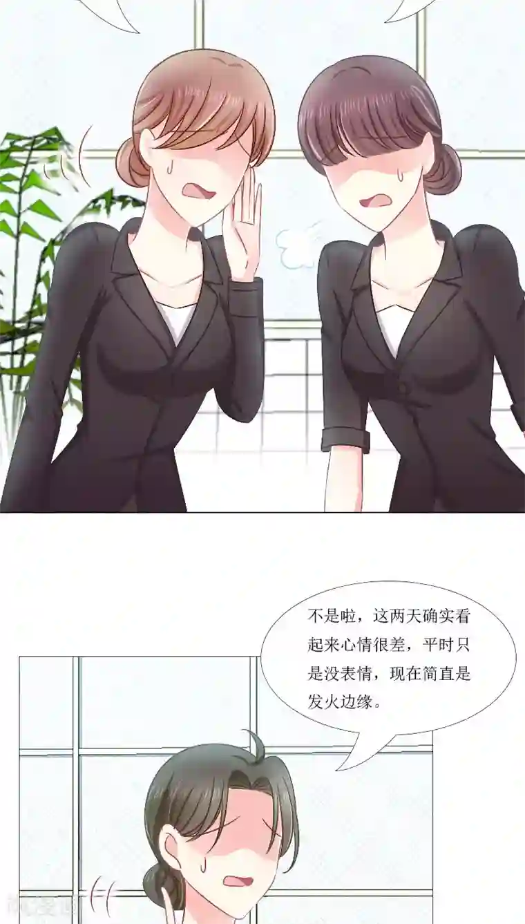 总裁要吃回头草第16话