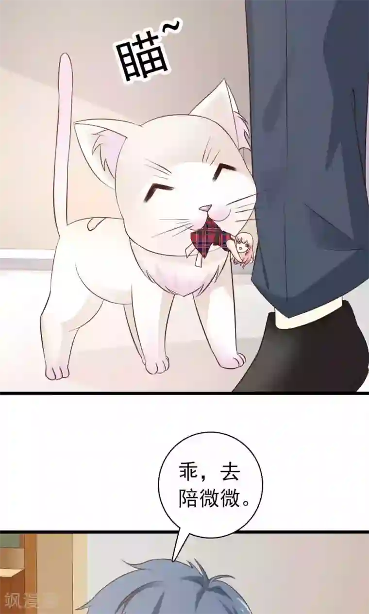 总裁要吃回头草Q版番外