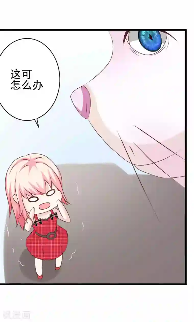 总裁要吃回头草Q版番外