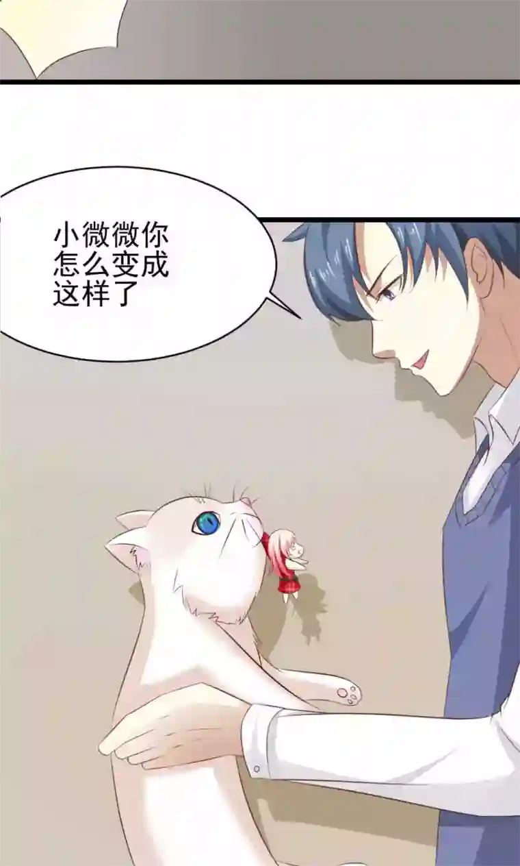 总裁要吃回头草Q版番外