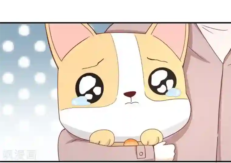 保护动物,守护可爱家园!全一话