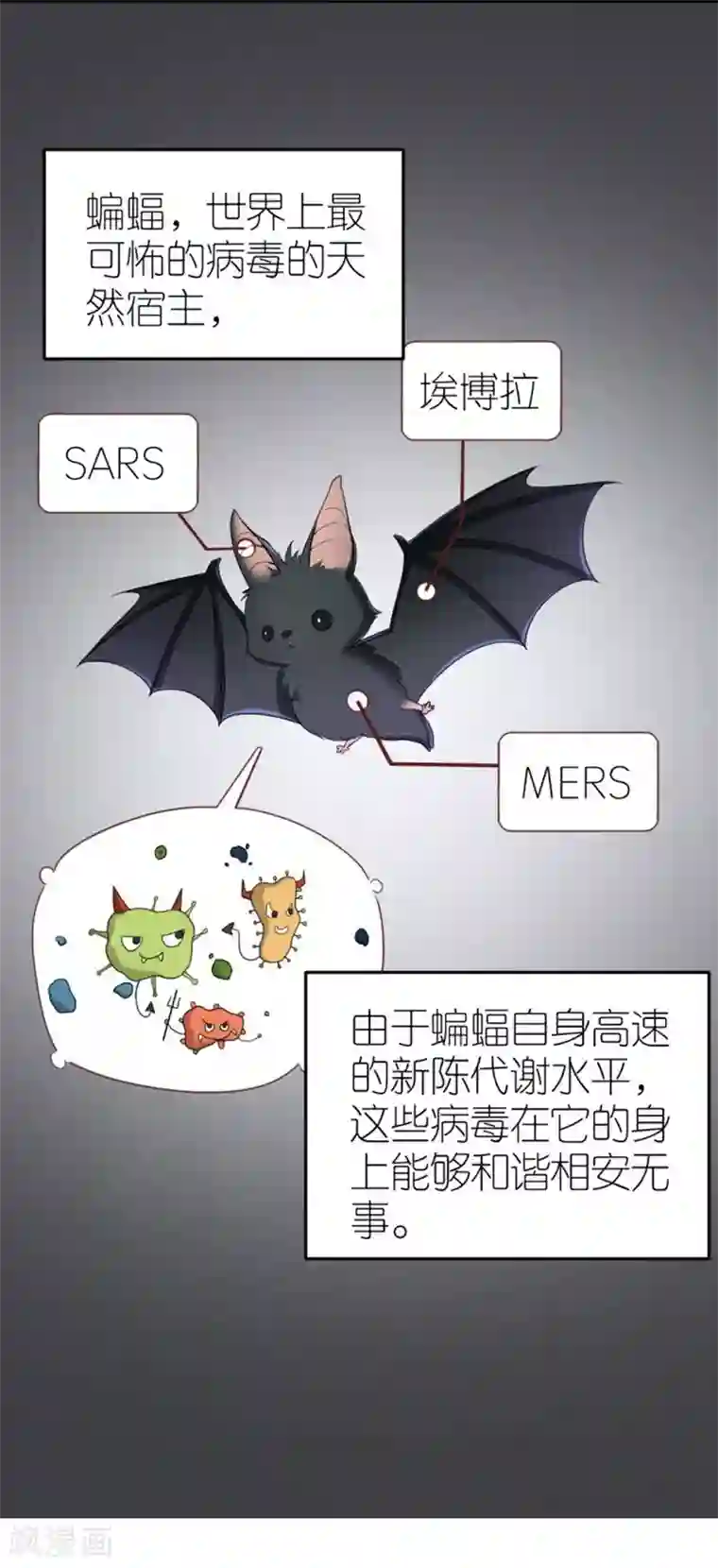 保护动物,守护可爱家园!全一话