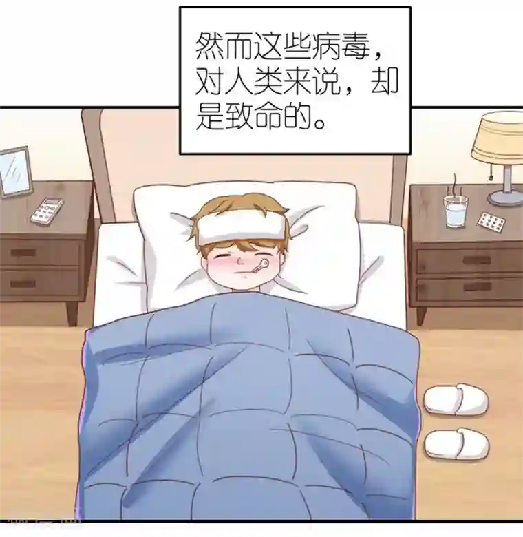 保护动物,守护可爱家园!全一话