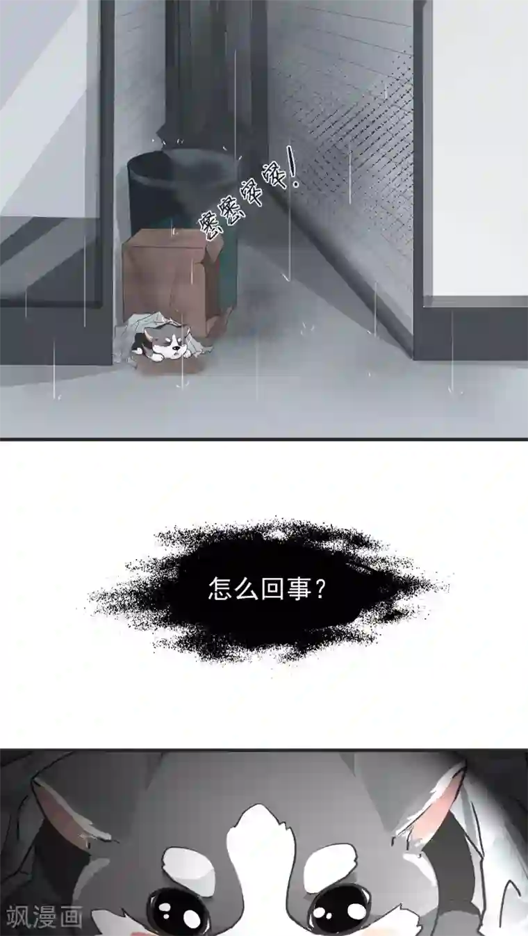 先干为敬第11话 背离(3)