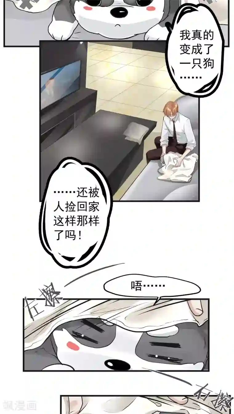 先干为敬第12话 这是梦吧！1