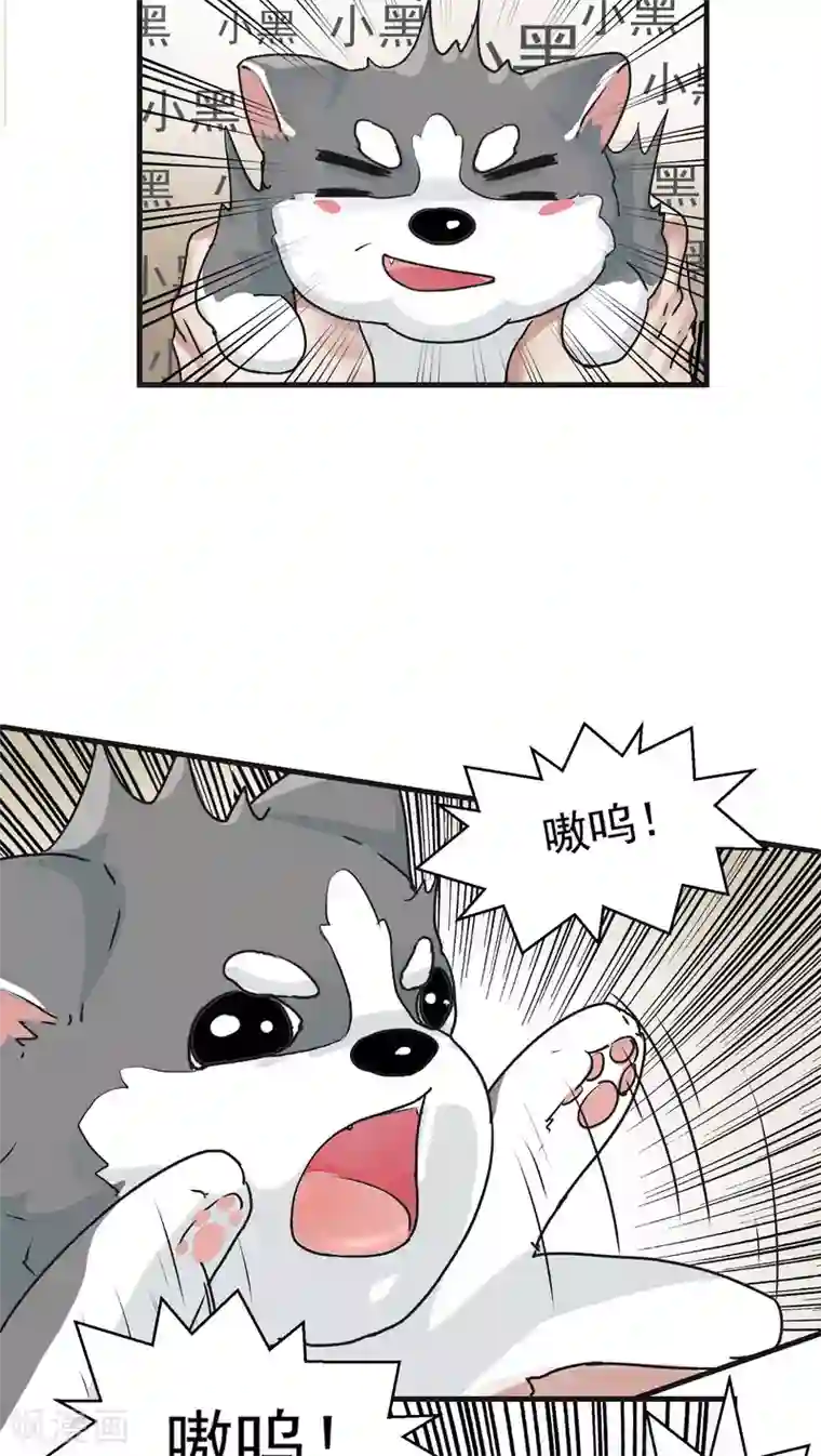 先干为敬第12话 这是梦吧！1