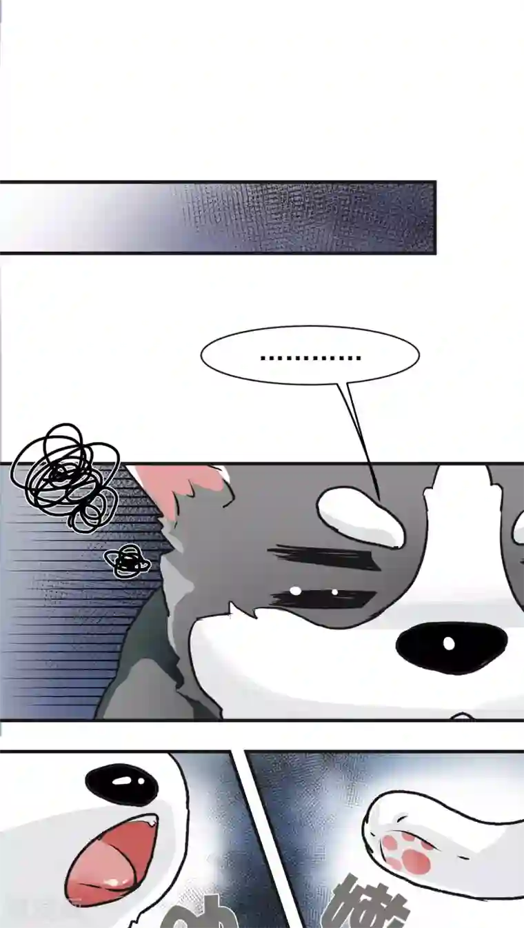 先干为敬第12话 这是梦吧！1