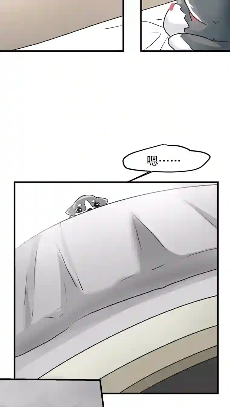 先干为敬第12话 这是梦吧！1