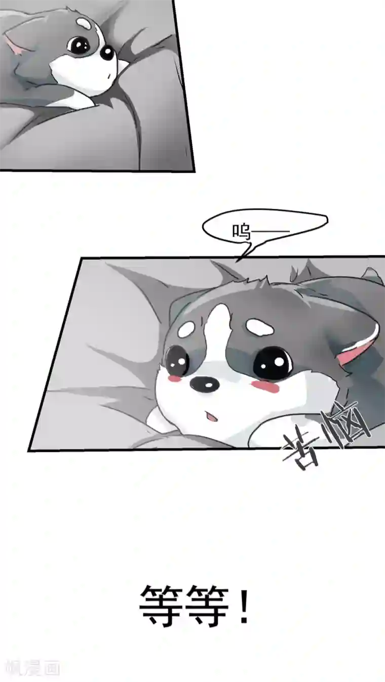 先干为敬第12话 这是梦吧！1