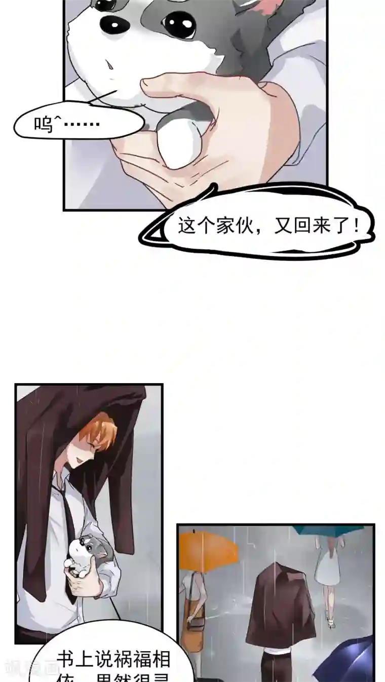 先干为敬第12话 这是梦吧！1