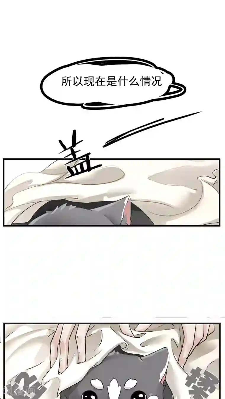 先干为敬第12话 这是梦吧！1