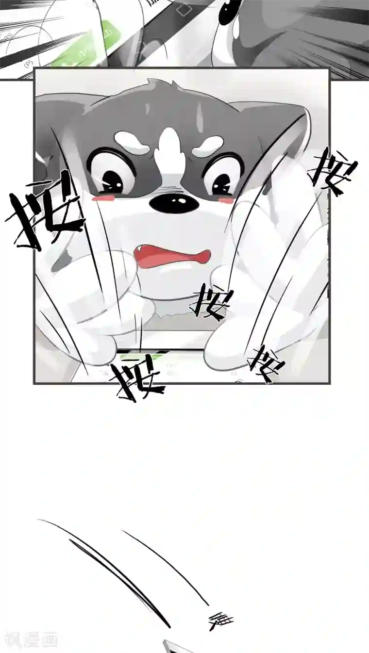 先干为敬第13话 这是梦吧！2