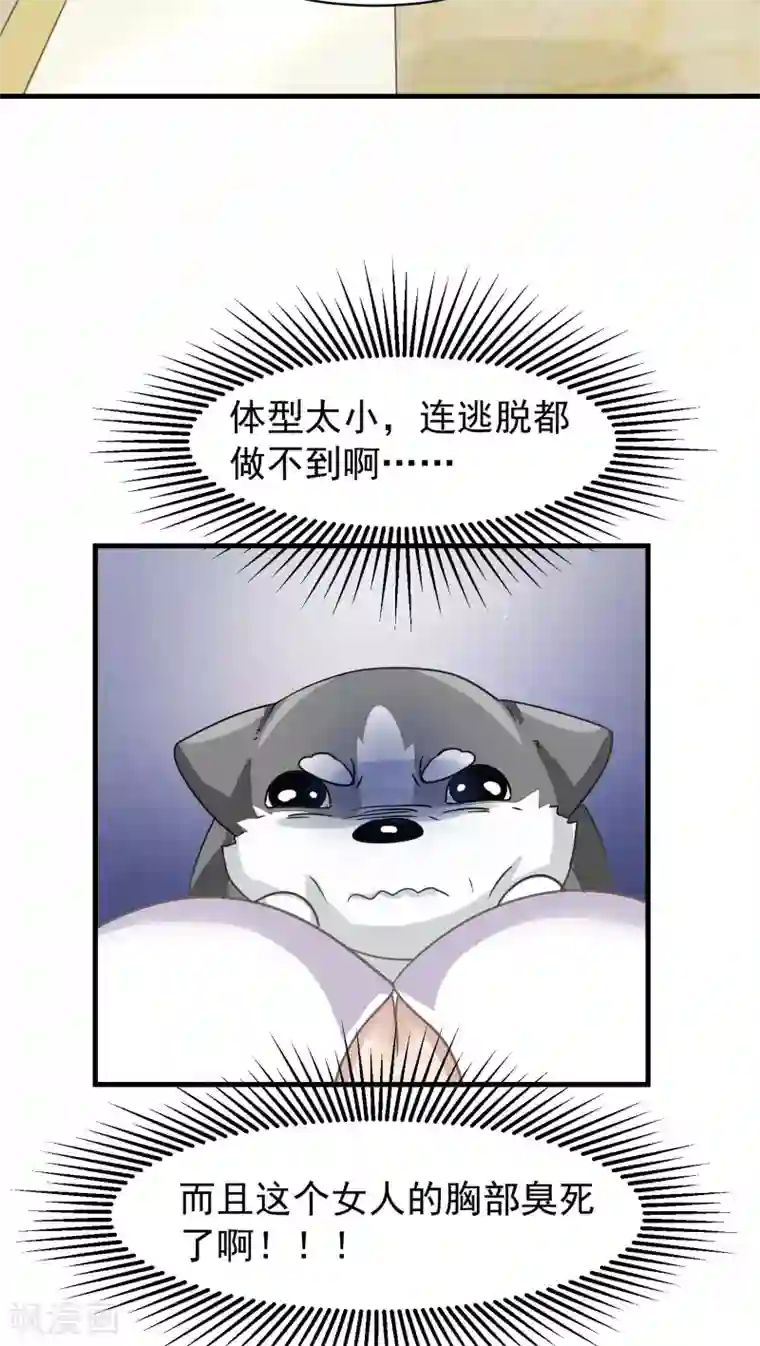 先干为敬第14话 这是梦吧！3