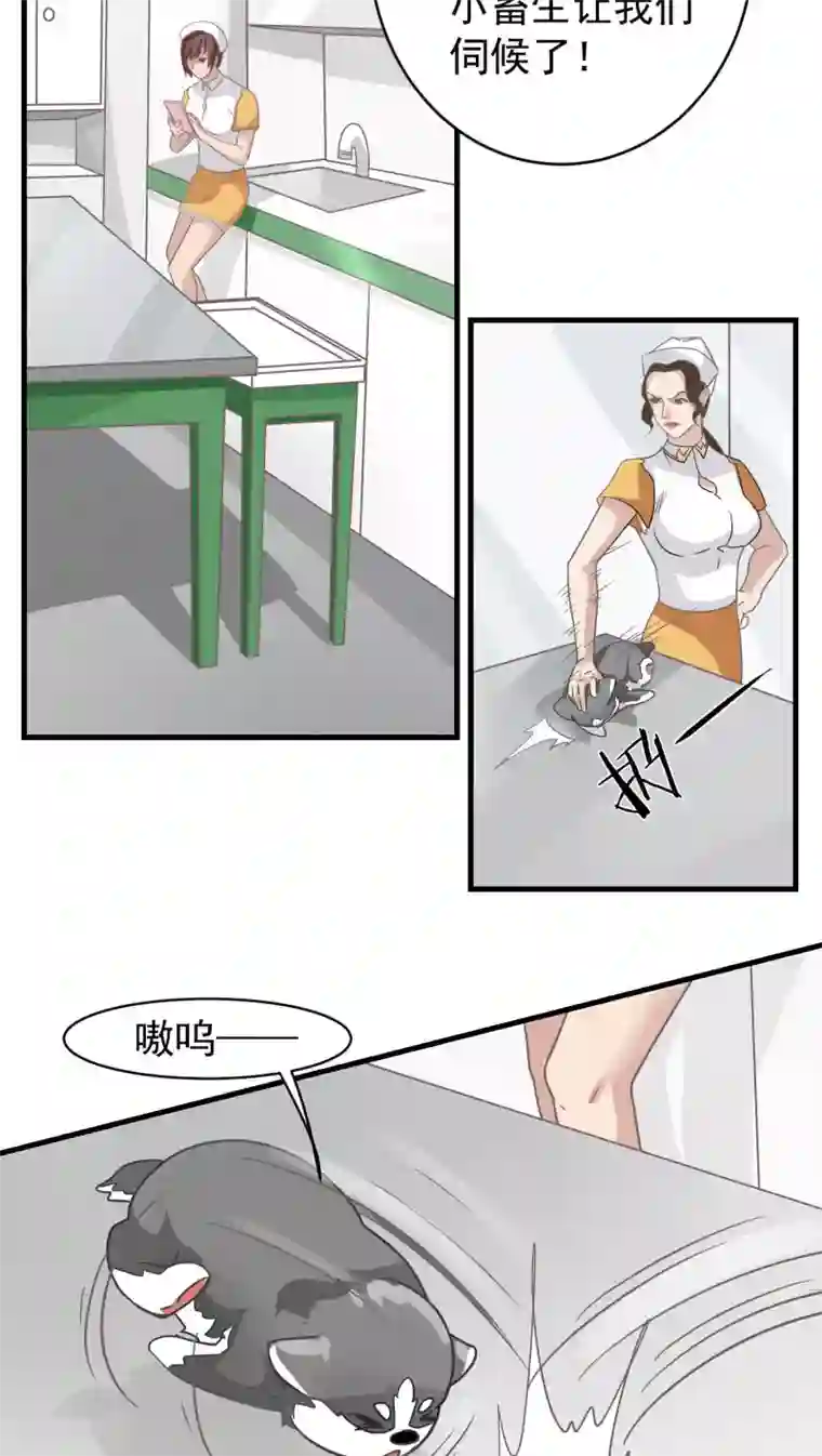 先干为敬第14话 这是梦吧！3