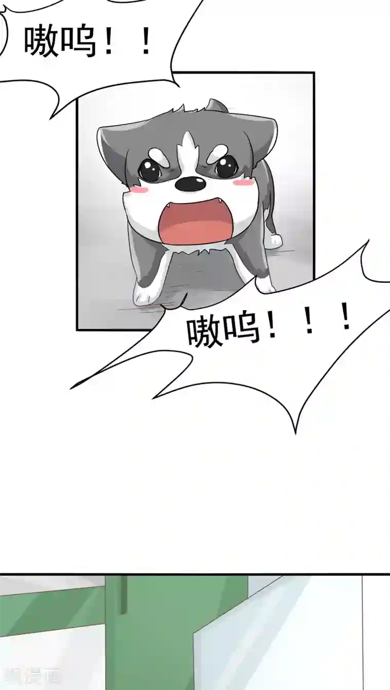 先干为敬第15话 相像(1)