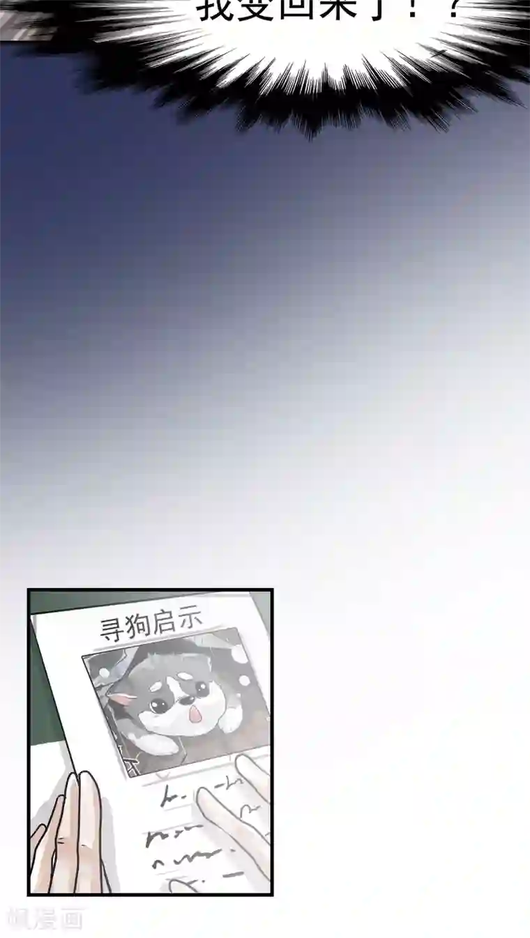 先干为敬第21话 再起(1)