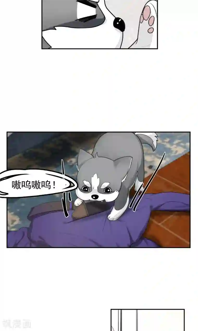 先干为敬第54话 乱性3