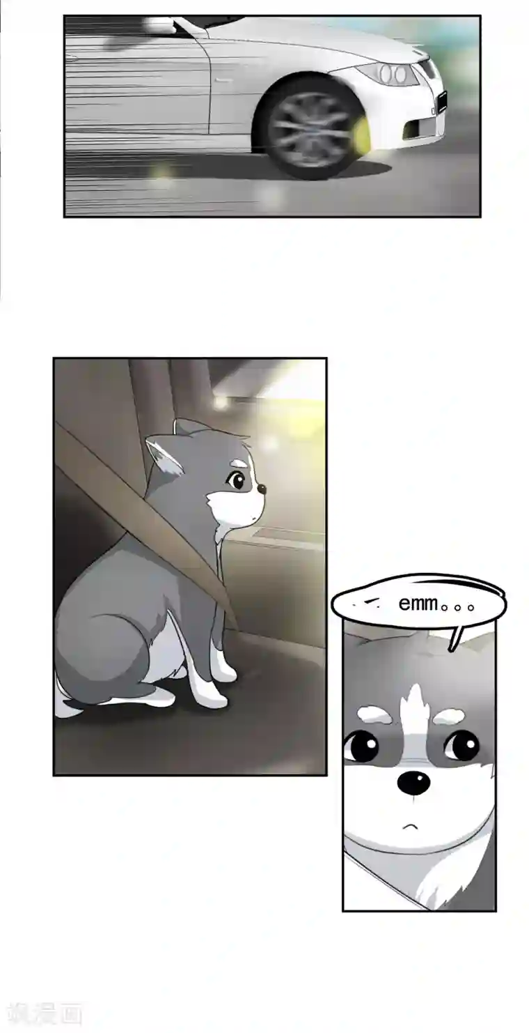 先干为敬第55话 安易的目的