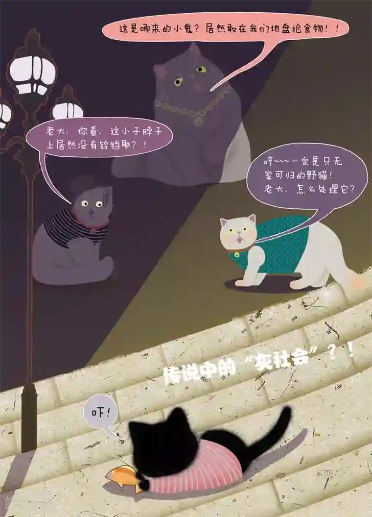 DIOR的迁徙日志第3话 陌生的小镇