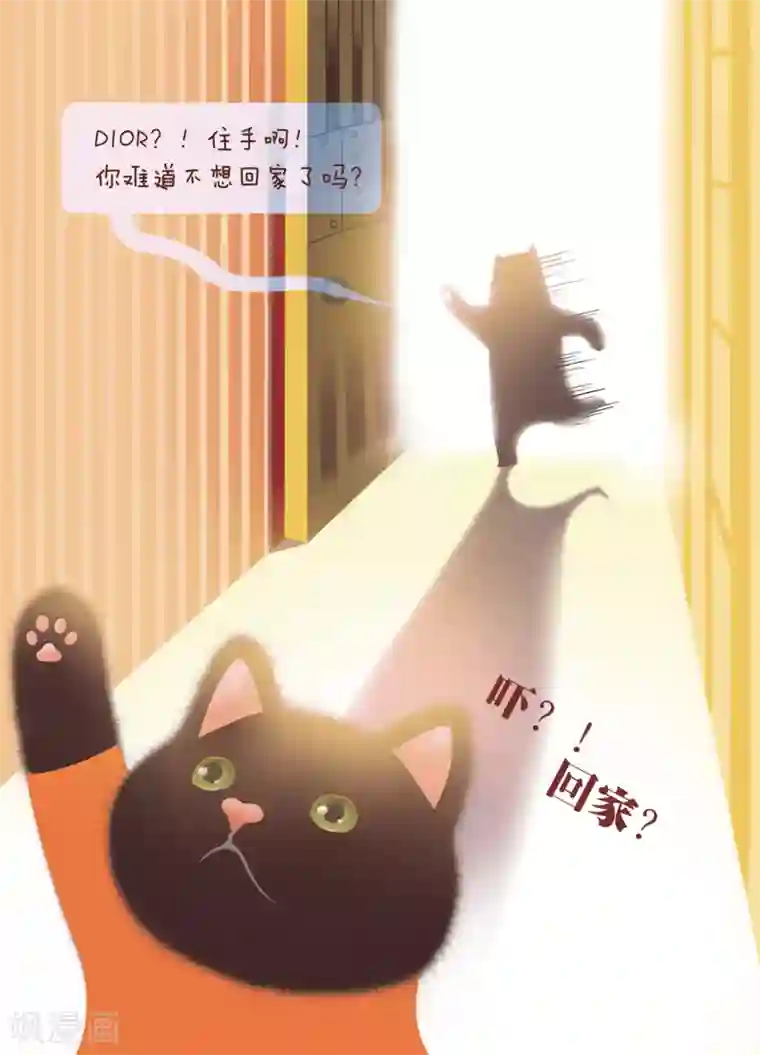 DIOR的迁徙日志第4话 你也会孤单吗？