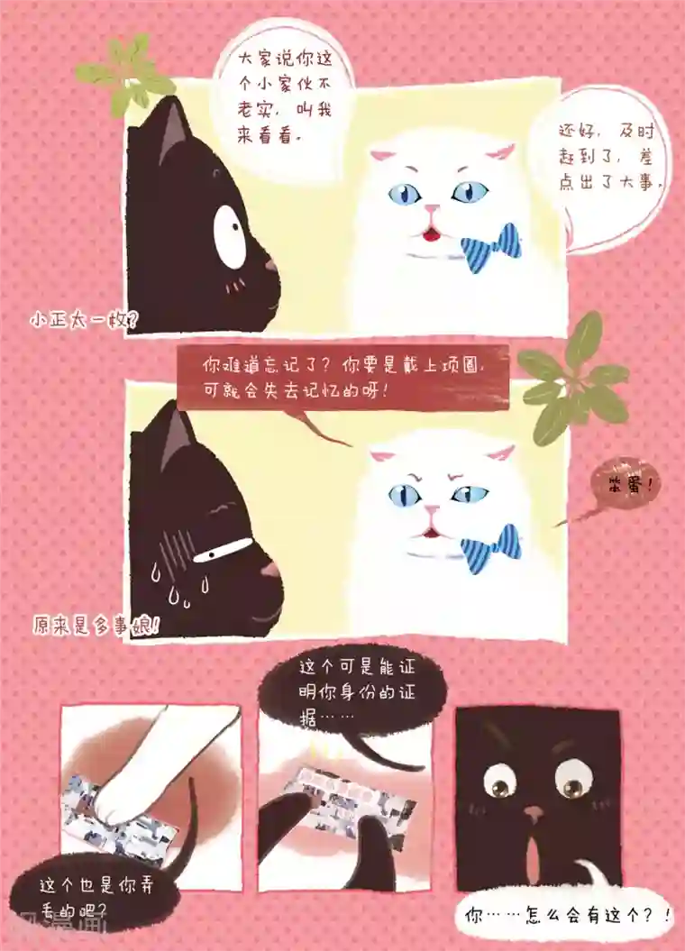 DIOR的迁徙日志第4话 你也会孤单吗？