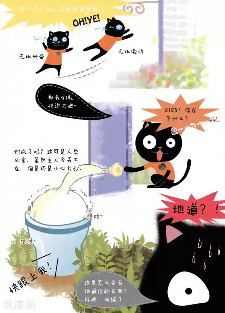 DIOR的迁徙日志第4话 你也会孤单吗？