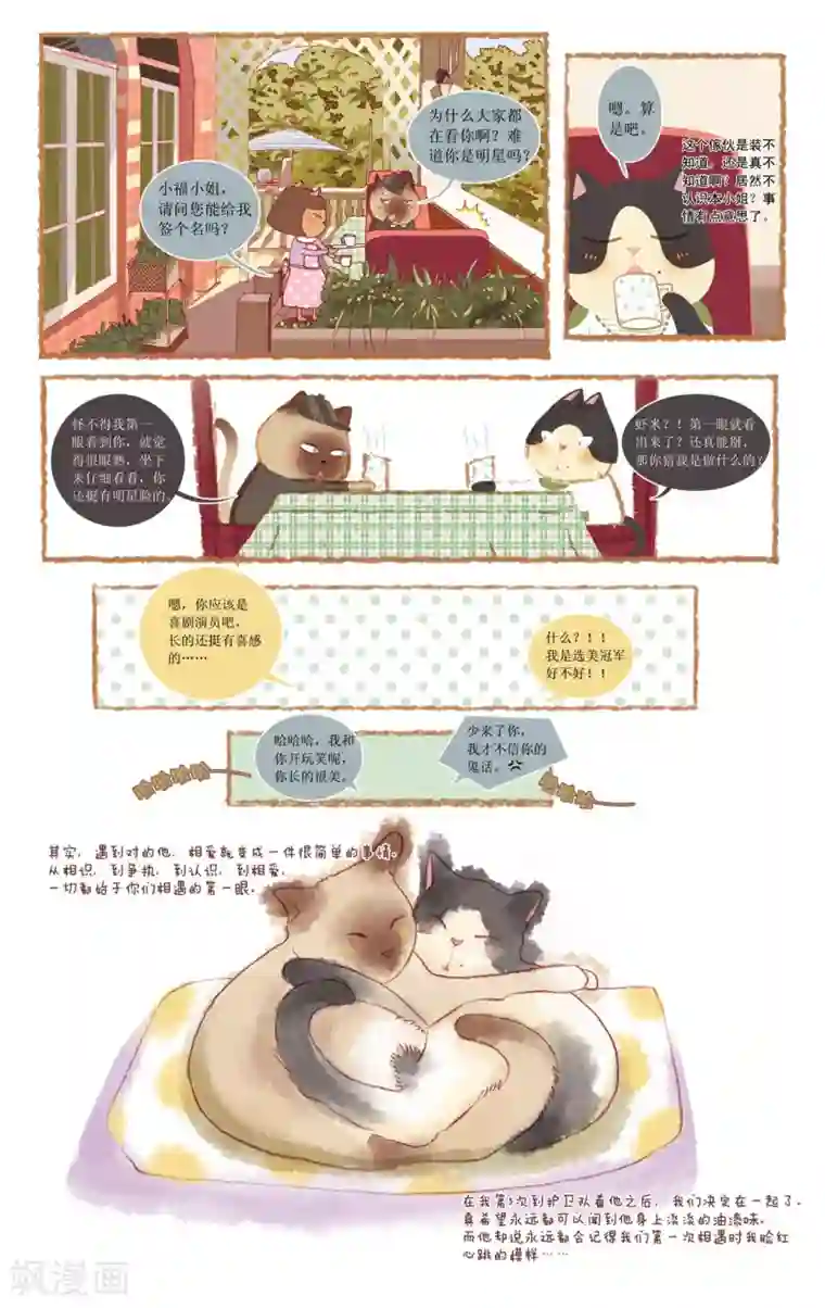 DIOR的迁徙日志第9话 猫岛的祈福