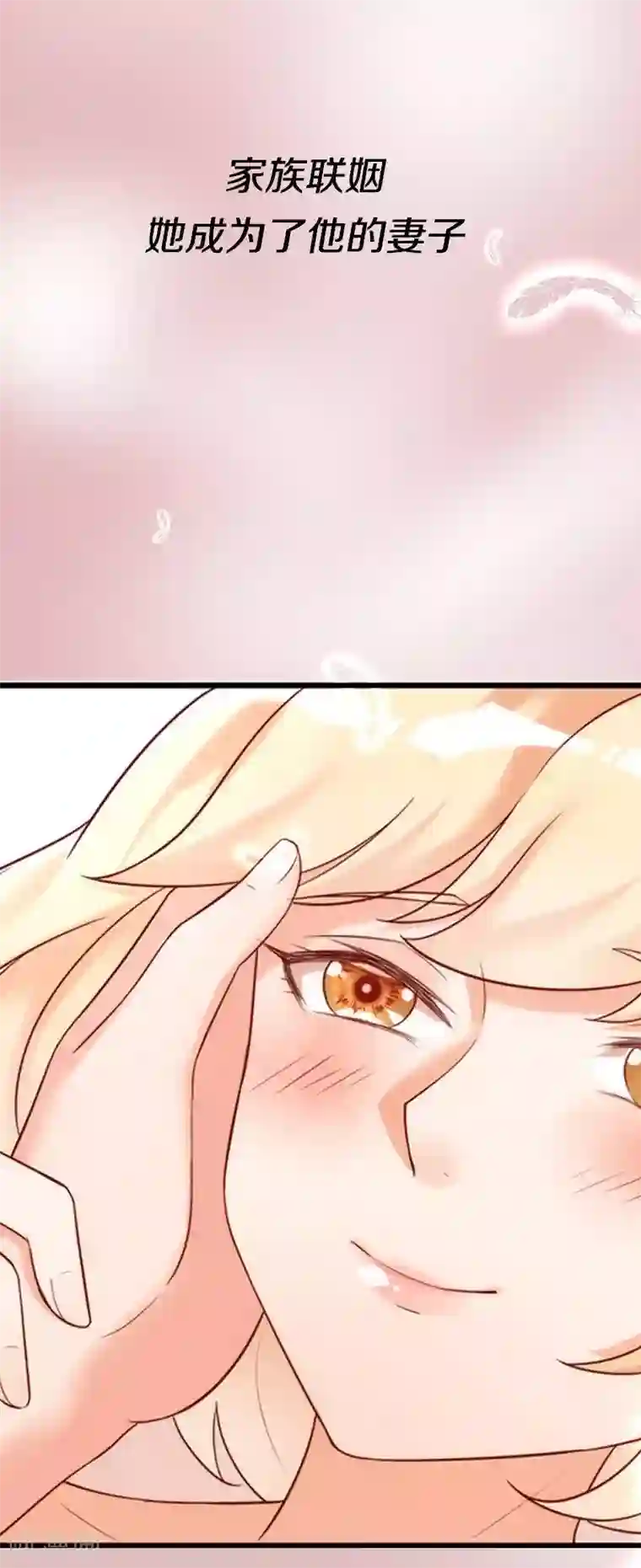 老婆大人有点冷序章