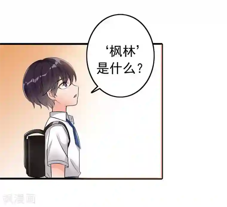 老婆大人有点冷第5话 你说谁是野种？！