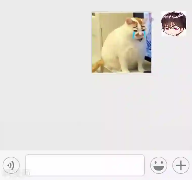 老婆大人有点冷番外：老婆到底冷不冷