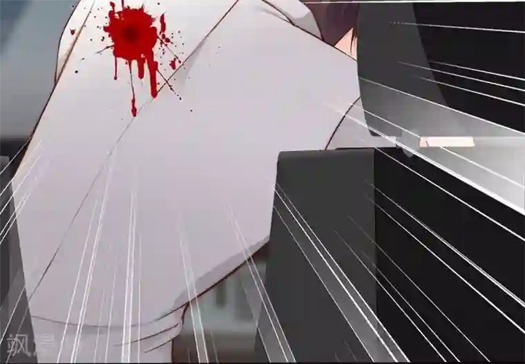 老婆大人有点冷第79话 追杀