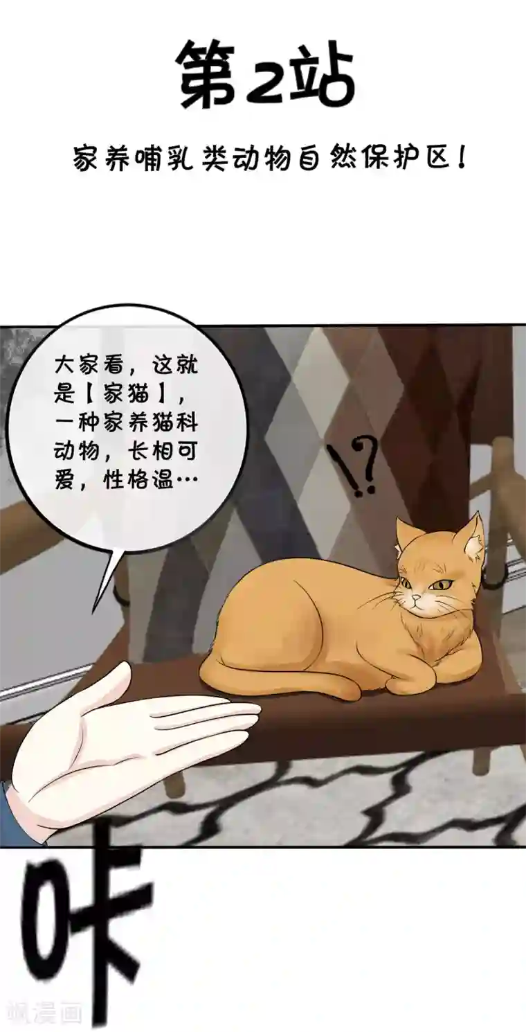 宅家旅游指南全一话