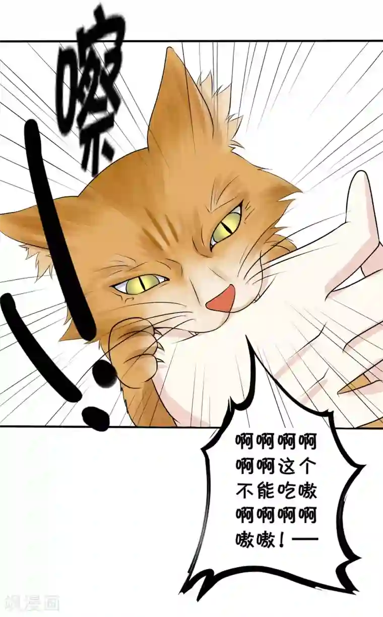 宅家旅游指南全一话